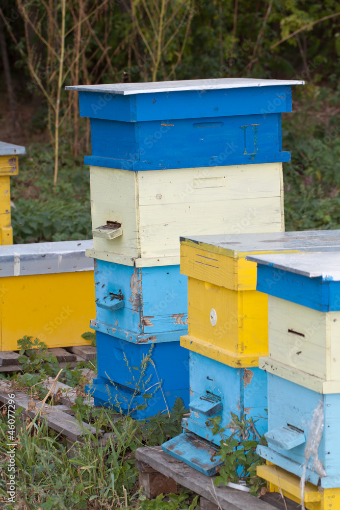 Beehive Beehive