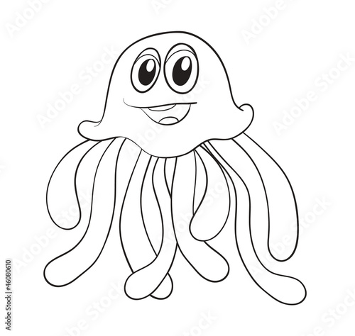 octopus