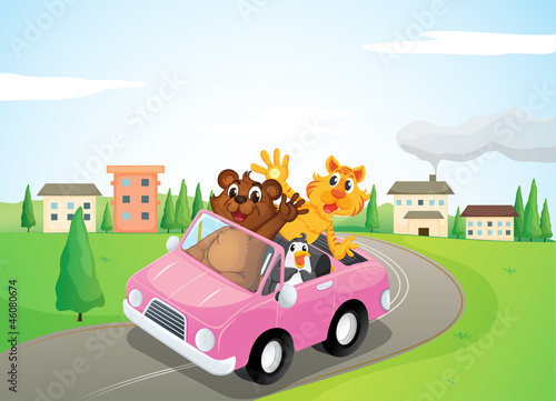 animals in a car