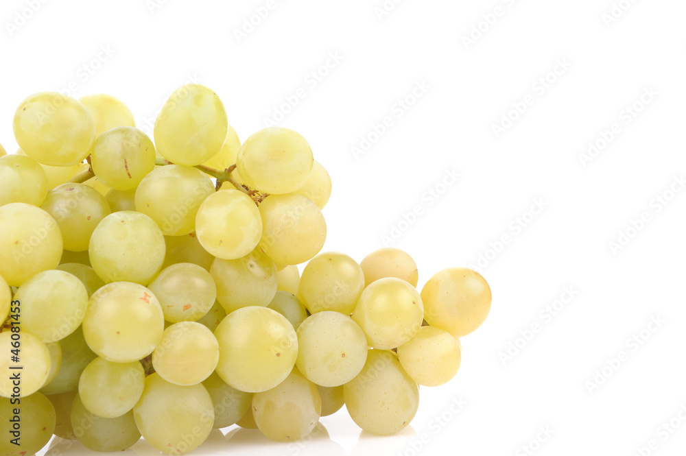 Branch of green grapes isolated on white Branch of green grapes isolated on white