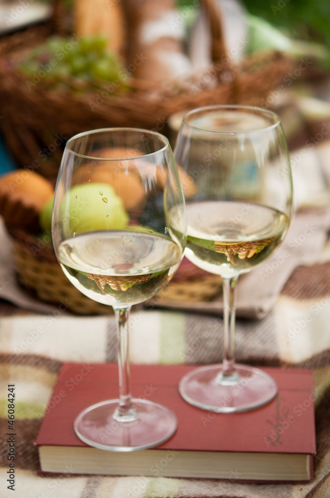 Two glasses of the white wine, picnic theme Two glasses of the white wine, picnic theme
