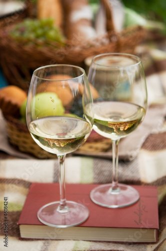 Two glasses of the white wine, picnic theme