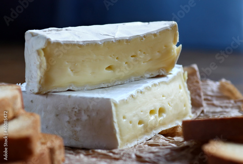 French camembert cheese