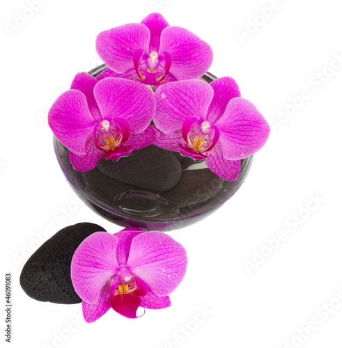 orchid and zen stones
