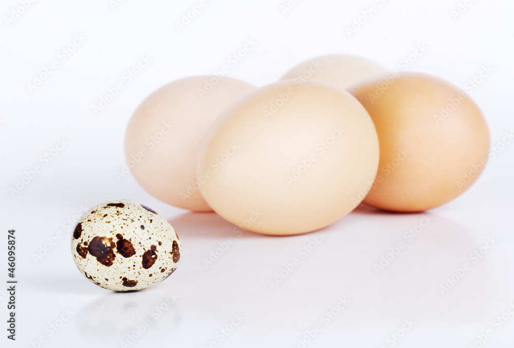 Quail and chicken eggs isolated on white background Quail and chicken eggs isolated on white background