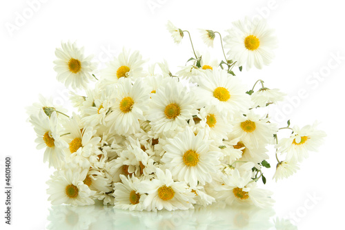 Fototapeta Naklejka Na Ścianę i Meble -  bouquet of beautiful daisies flowers, isolated on white