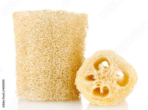 Cuadro en lienzo Loofah isolated on white