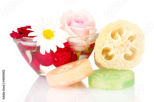 Obraz na płótnie Loofah isolated on white
