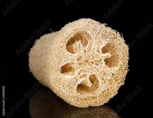 Obraz na płótnie Loofah isolated on black