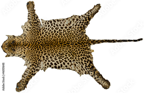 Real tiger fur