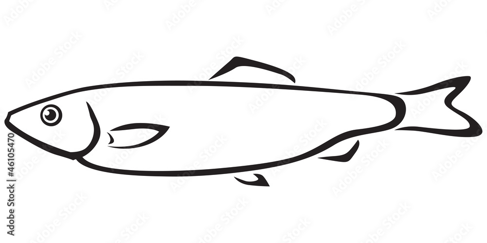 Sprat fish Sprat fish