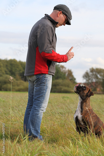 Hundetraining