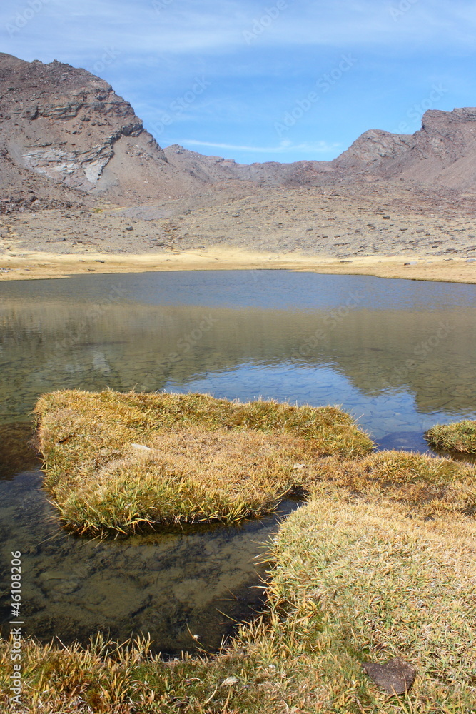 dry grass on the edge of glacial lake in Sierra Nevada