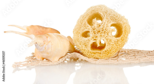 Obraz na płótnie Loofah isolated on white
