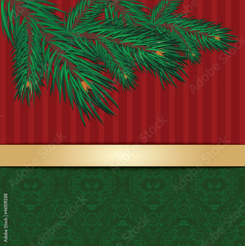 Christmas background with fir twigs