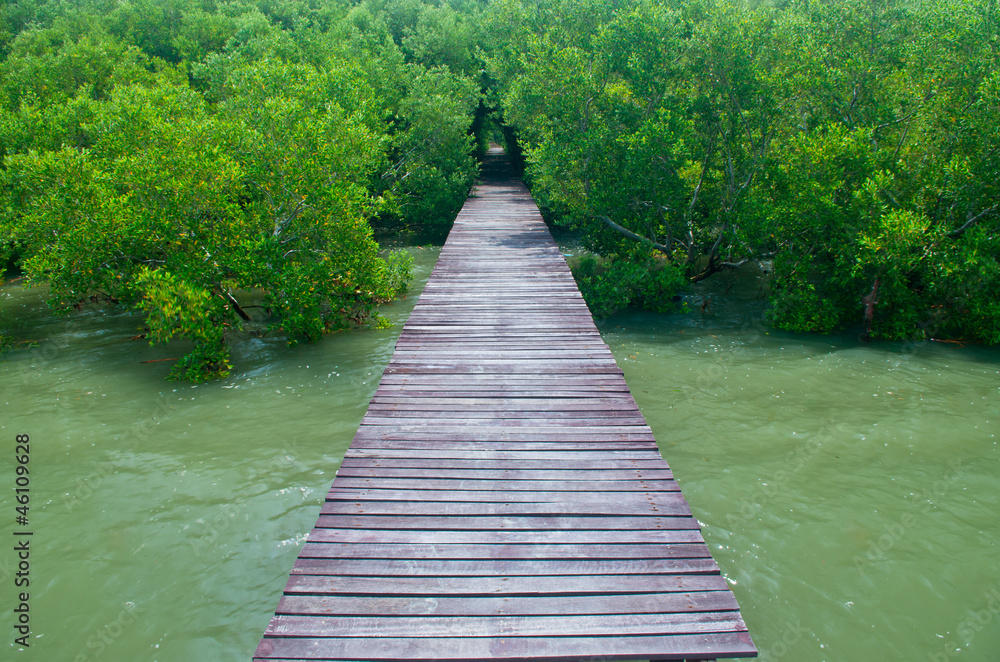 Wood bridge