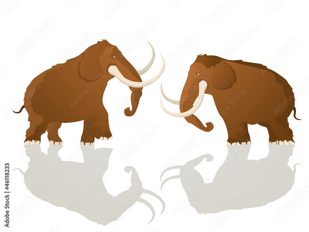 Obraz premium Charging bulls