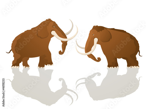 Charging bulls