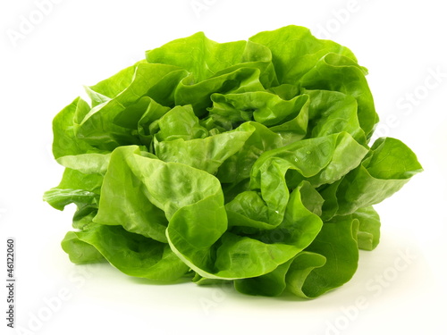 Lettuce, isolated