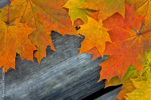 autumn leaves on rustic wooden surface