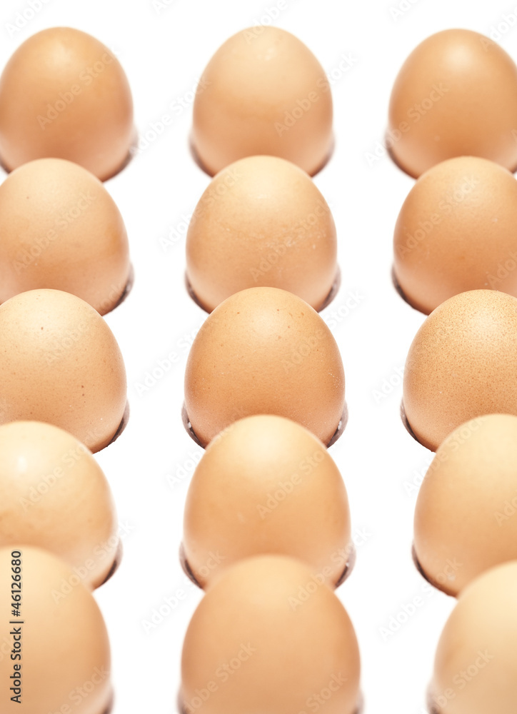 eggs