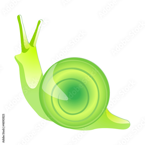 icon snail