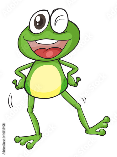a frog