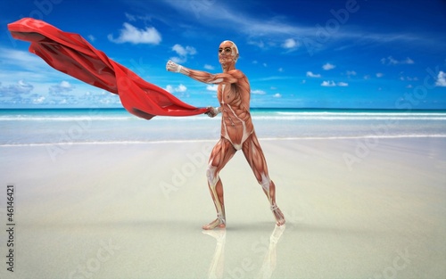Anatomia en la Playa photo