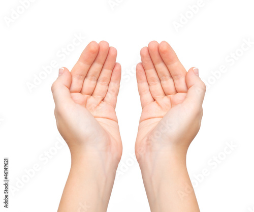 Isolated female hands palms held subject