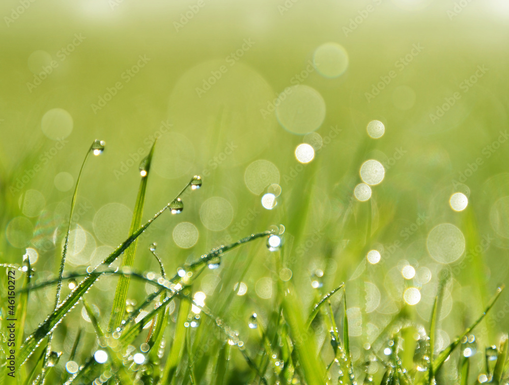 Im Garten der Frische Im Garten der Frische