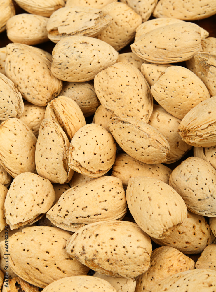 almond nut almond nut
