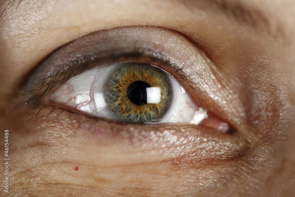 Fototapeta premium Green eye