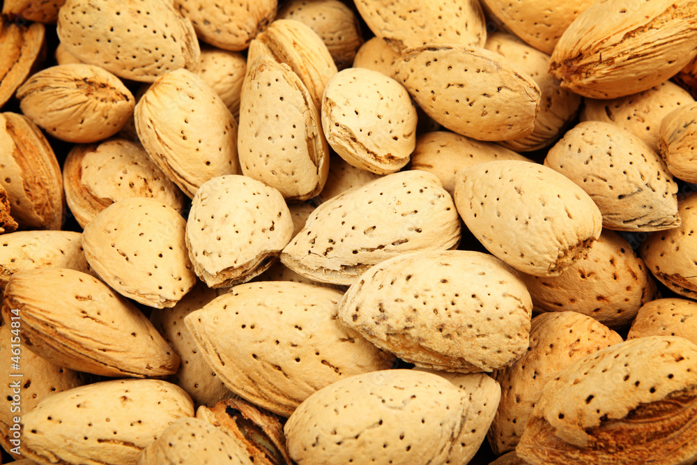 almond nut almond nut