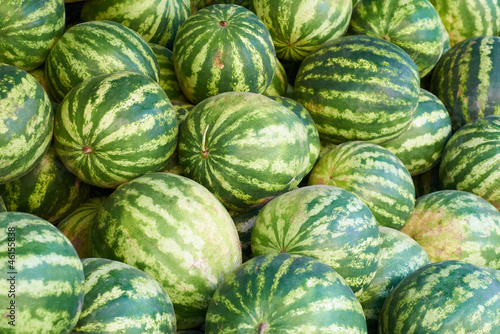 Green watermelons