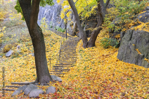 Stairway with colorful autumn leaves