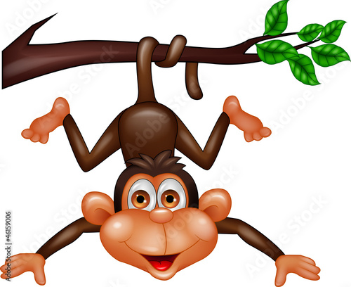 Funny monkey hanging on tree branch