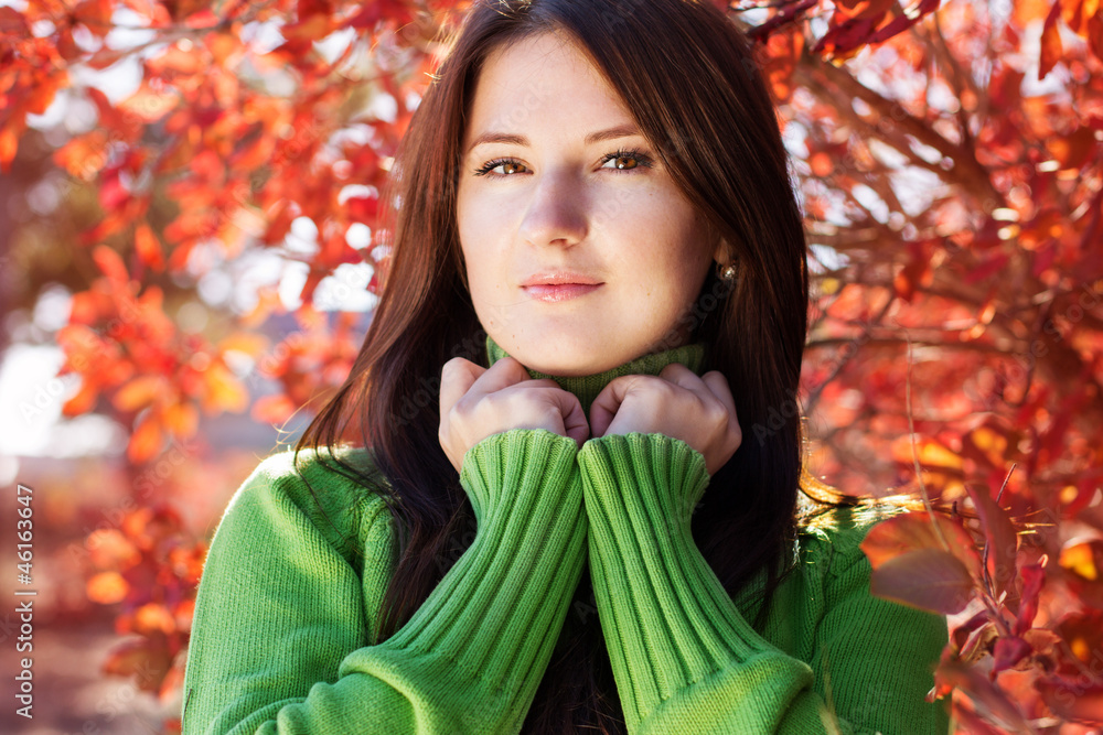 portrait of beautiful young woman in autumn leaves