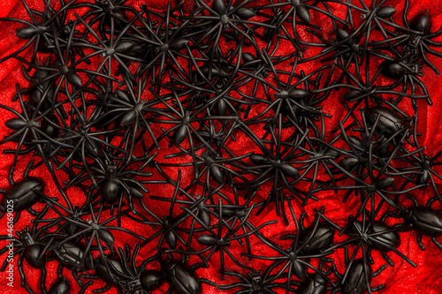 Wallpaper Mural many black spider and beetle on red. Torontodigital.ca