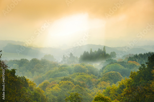 Obraz promienie słoneczne padające na mglisty las