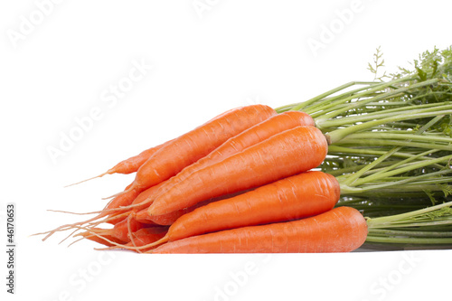 isolated carrots