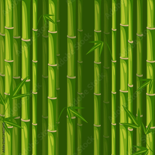 Vector bamboo background green
