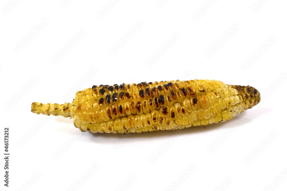 Fototapeta premium Appetizer grilled corn in white background