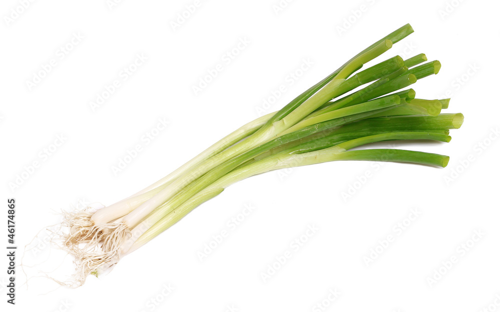 green onion bunch isolated on white background green onion bunch isolated on white background