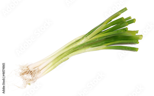 green onion bunch isolated on white background