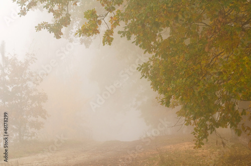 Obraz na płótnie Autumn mist w salonie