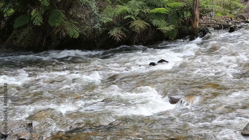 Flowing mountain stream