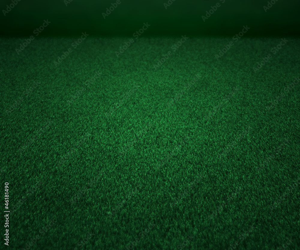 Perspectiv Grass Texture Stage Background