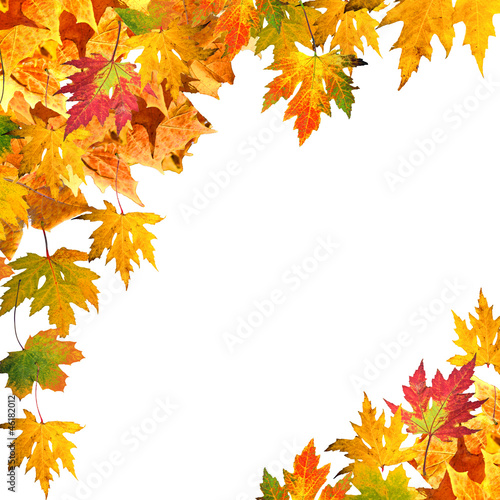 Herbst  Arrangement aus bunten Bl  ttern