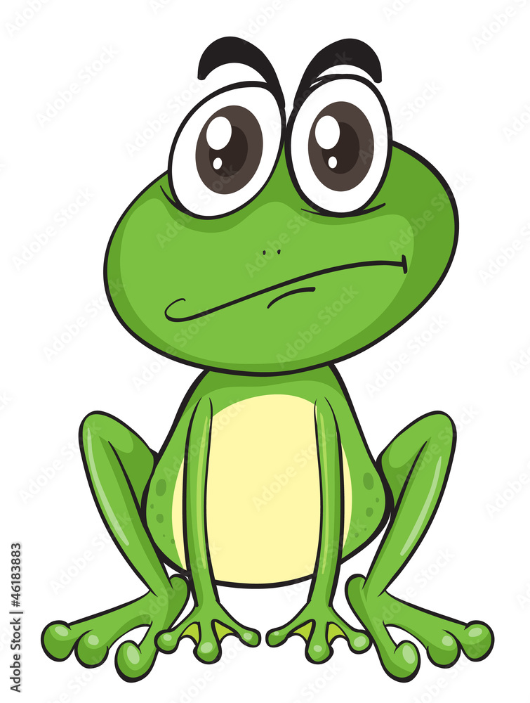 a frog a frog