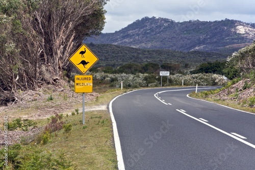 Australian, Wildlife Road Sign Road Trip